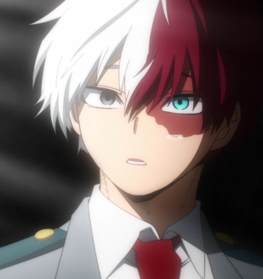 Shoto Todoroki's PR Manager❄️🔥🐈🍜 tweet media