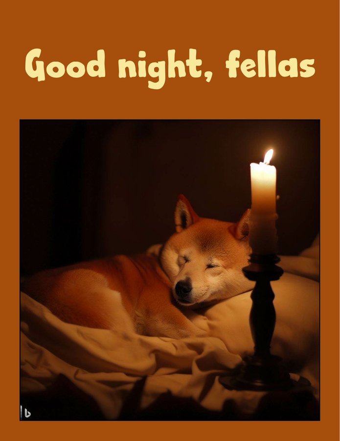 Carmelitta001's tweet image. Nacht✨🌜
#UkraibeWillWin
#DefendDemocracy
🌜✨