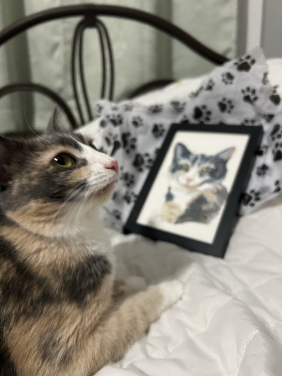 oreo & monkey (@oreoeocat) on Twitter photo We got a delightful pet portrait from pawportraiture on Instagram :) We got a delightful pet portrait from pawportraiture on Instagram :)