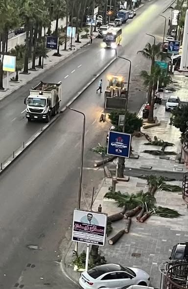 MarwanSaytara's tweet photo. اليوم...، أُعلن رسميًا أنني رفعت دعوى بمحكمة مجلس الدولة بالإسكندرية، جلسة يوم ٩ نوڤمبر القادم، ضد كلٍّ من:
- محافظ الإسكندرية
- ورئيس الحي
- ووزير البيئة
- ووزير الزراعة https://t.co/xFGJop86ct