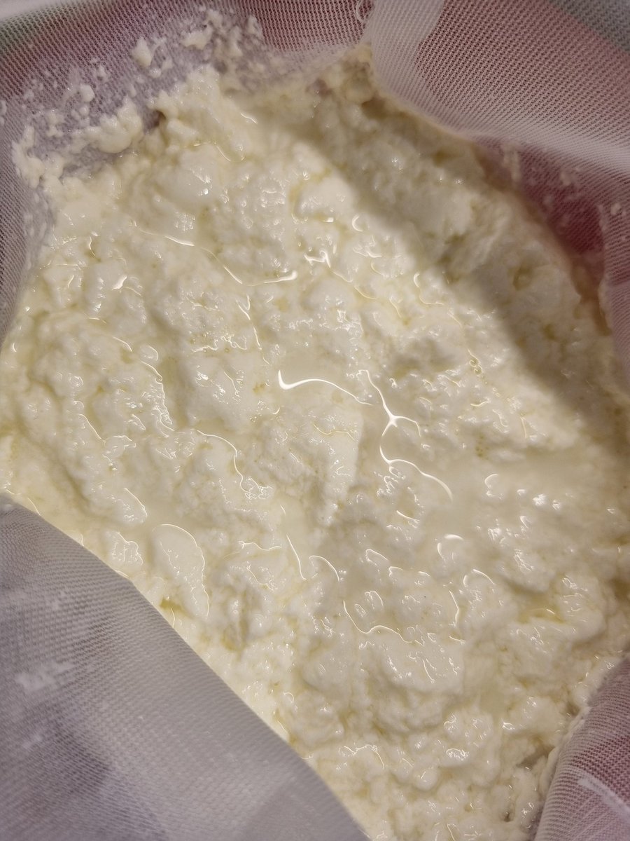 Fant fire liter gårdsmelk i 50% disken på matbutikken, så da var det bare en ting å gjøre