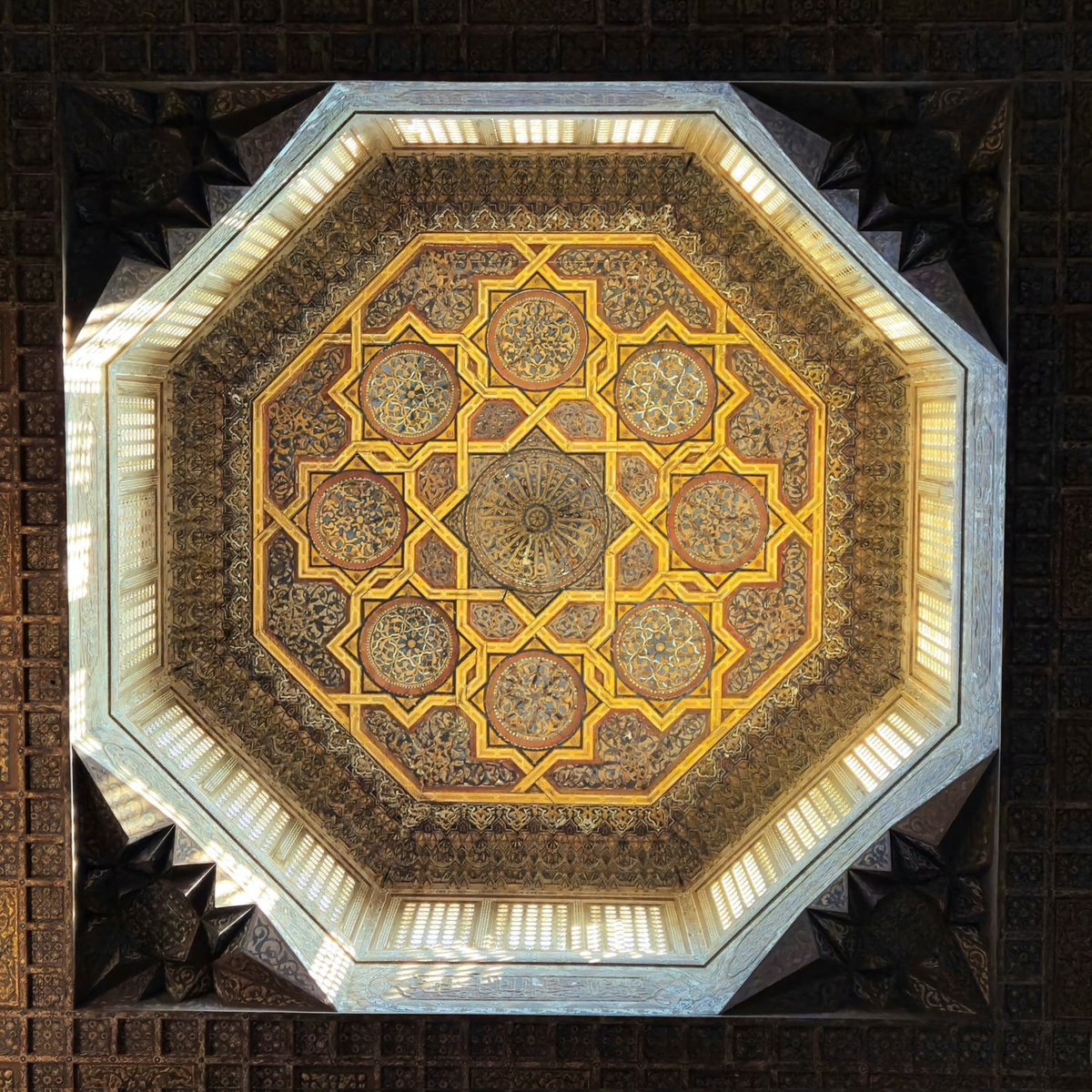 Mohamed (@mohamed_s_a_n) on Twitter photo 