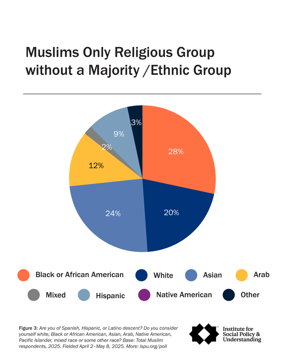 Did you know Muslims are the most racially diverse faith community in the US? 

No single racial or ethnic group makes up a majority of U.S. Muslims. 

If these facts surprised you, there’s more to learn in the report: bit.ly/3WkY3B0