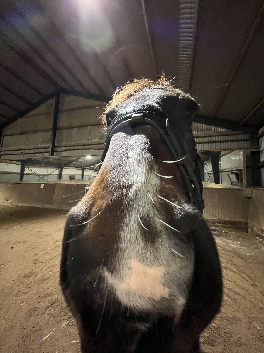 my old man who sniffs me sometimes