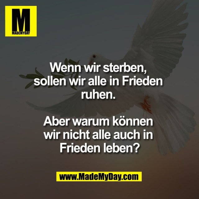 Made My Day (@mademydaycom) on Twitter photo 