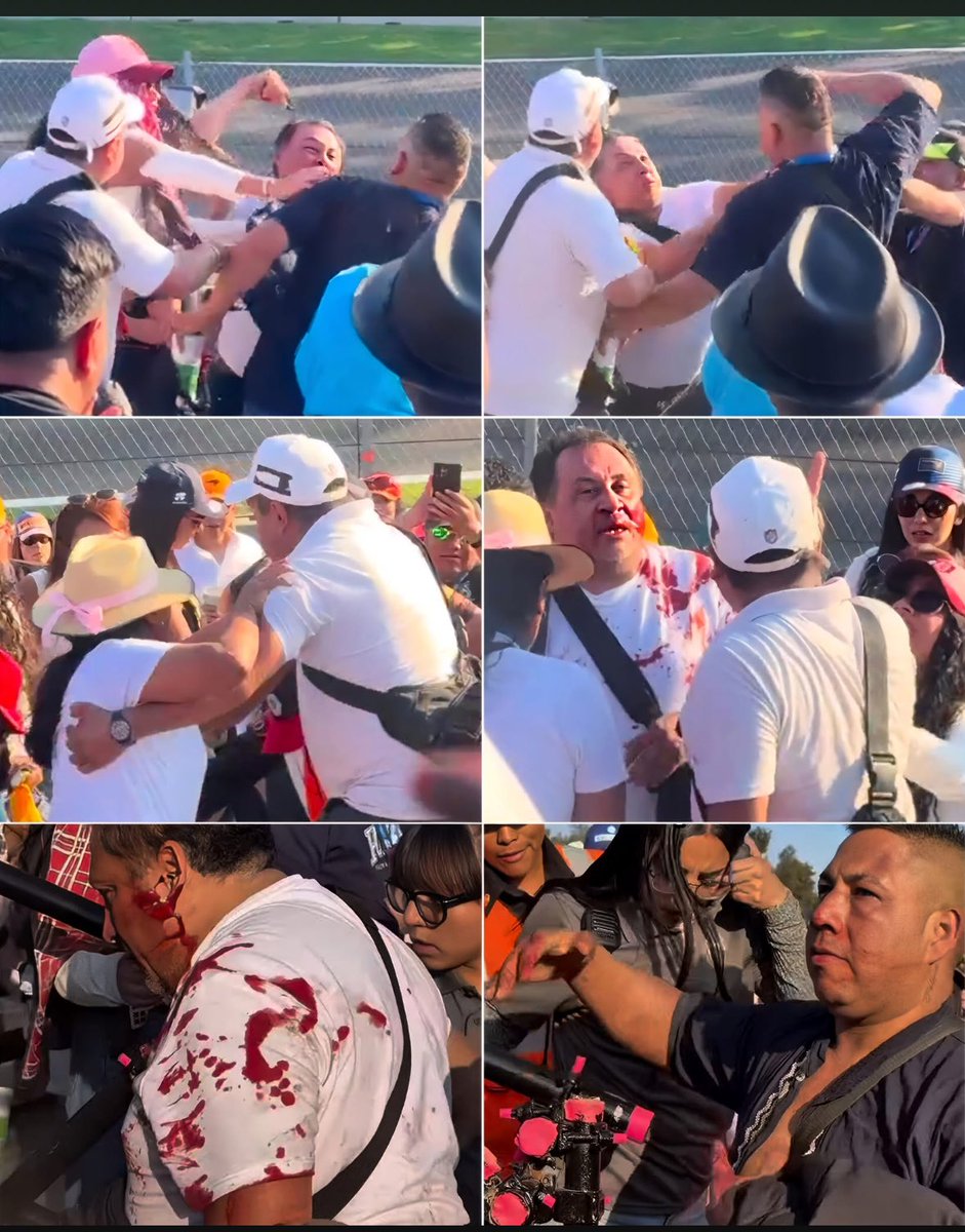 Cinthya A. Rodríguez O tweet media