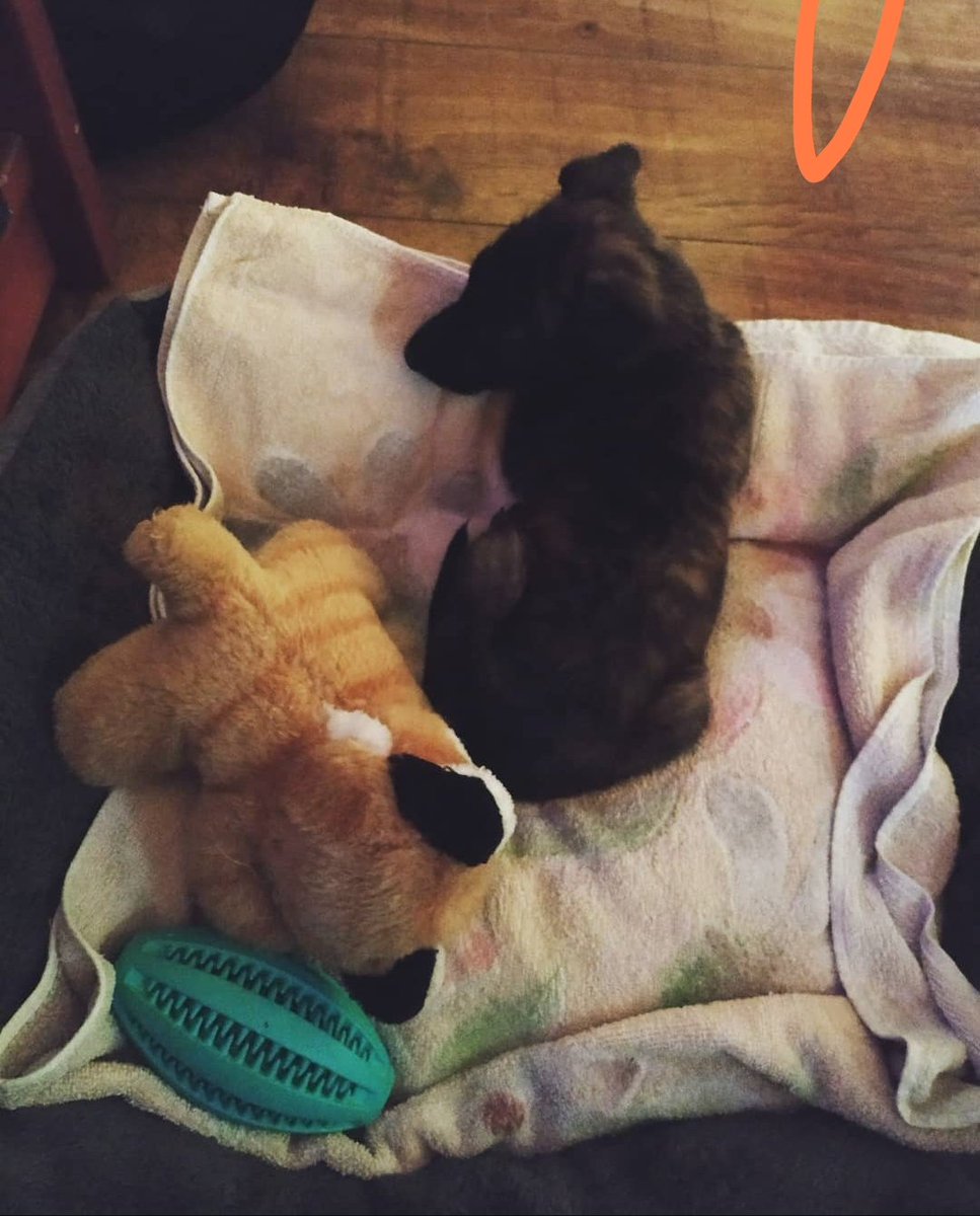 Zankokuna tenshi tweet media