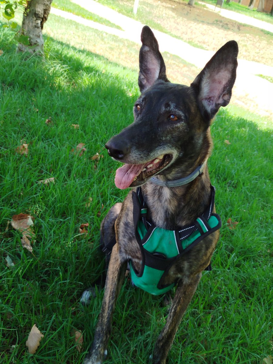 Zankokuna tenshi tweet media