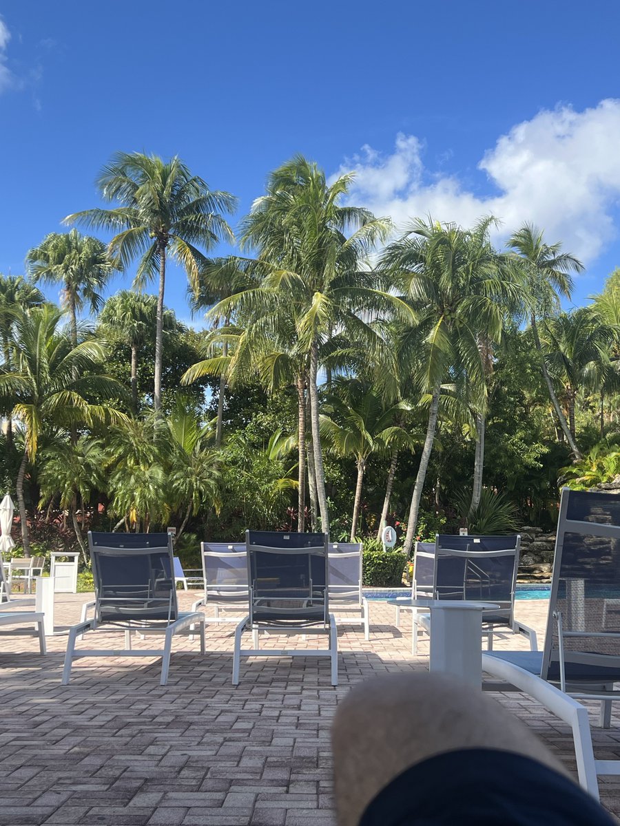 Touching grass &amp; water today… mentals kind of been low this passed week~