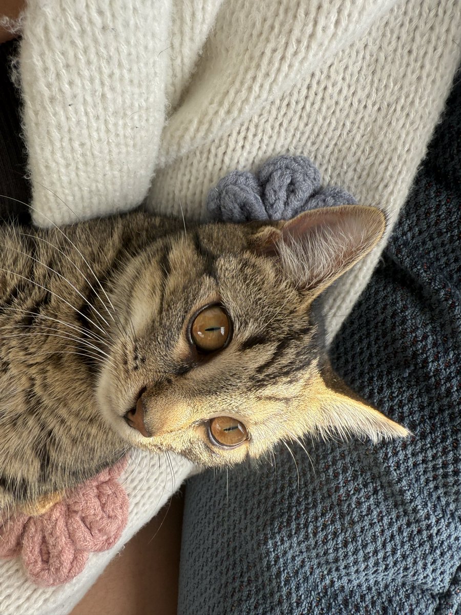 𝐂𝐨𝐫𝐭𝐧𝐞𝐲 ฅ^•ﻌ•^ฅ tweet media