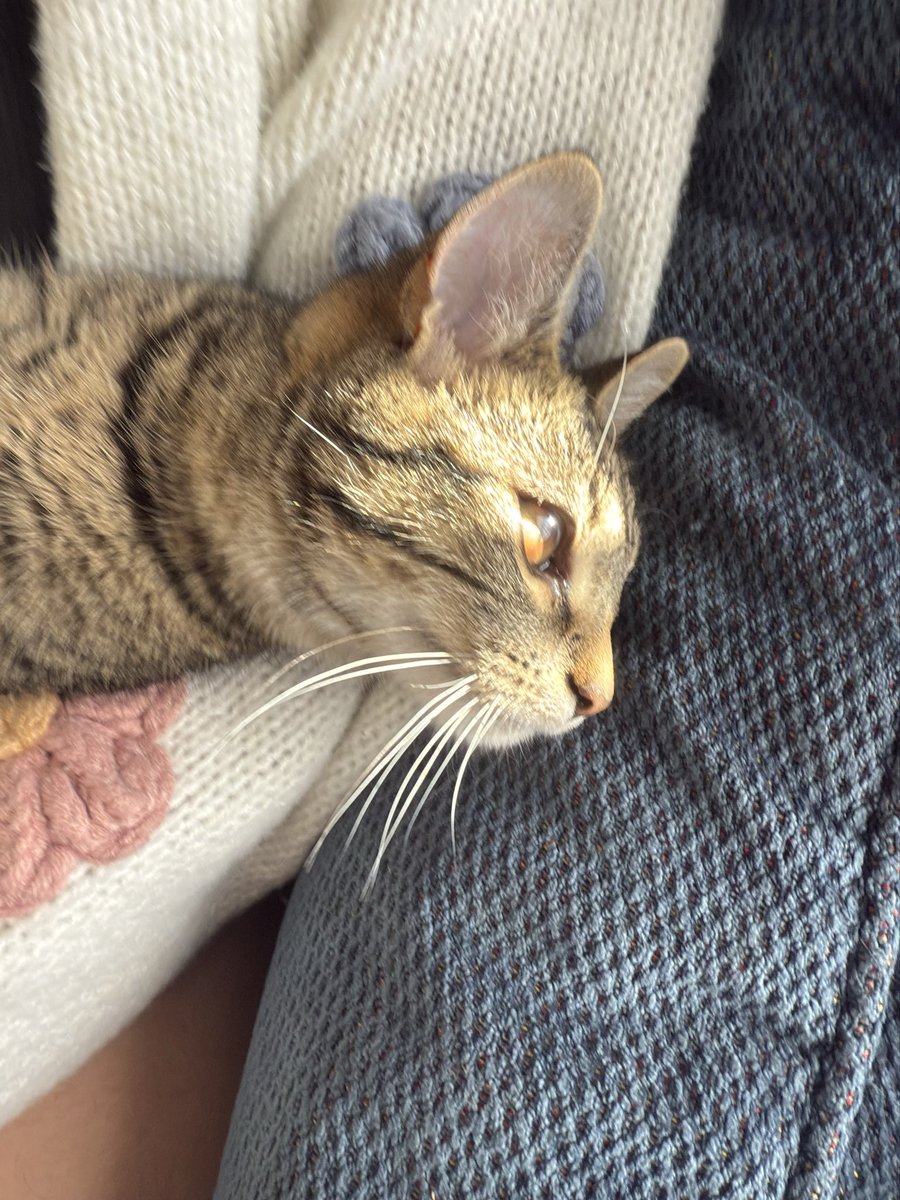 𝐂𝐨𝐫𝐭𝐧𝐞𝐲 ฅ^•ﻌ•^ฅ tweet media