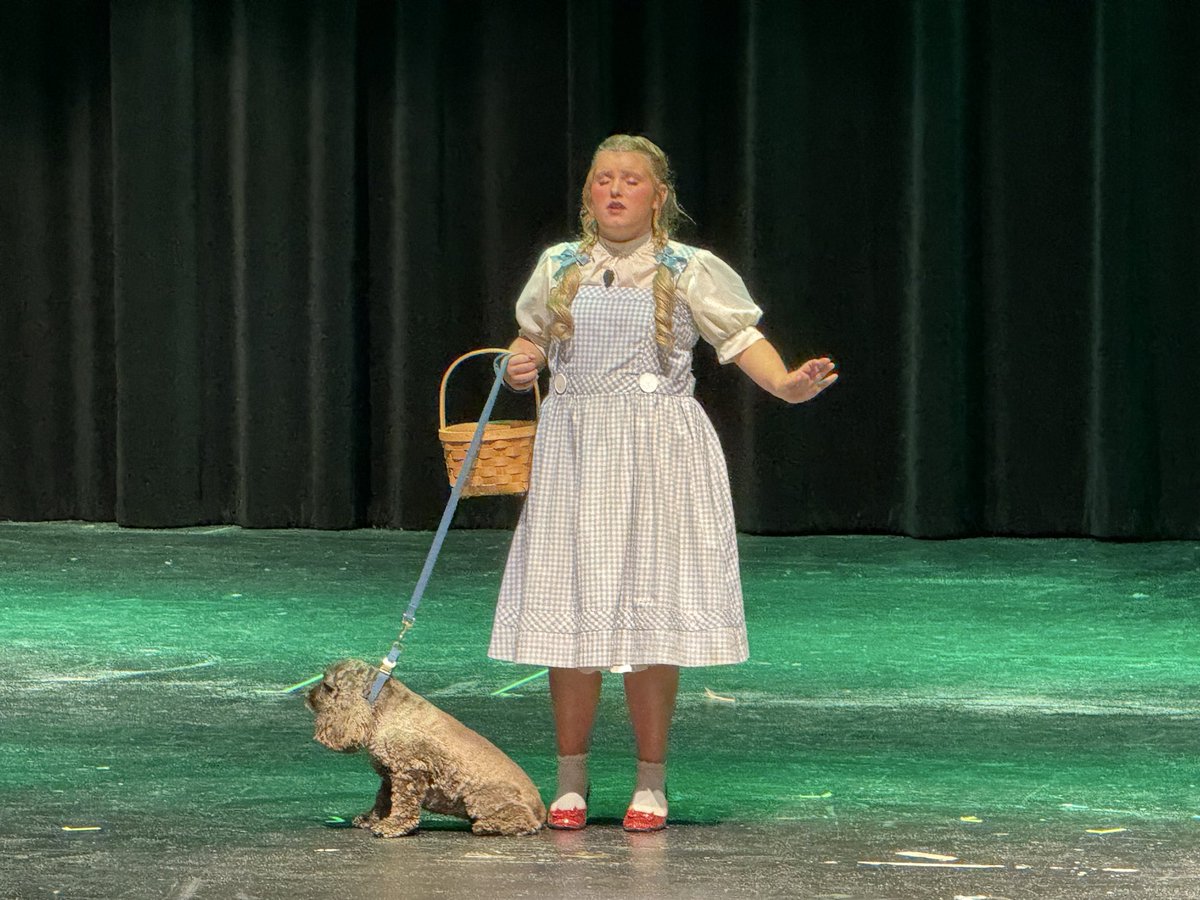 budking5 tweet media