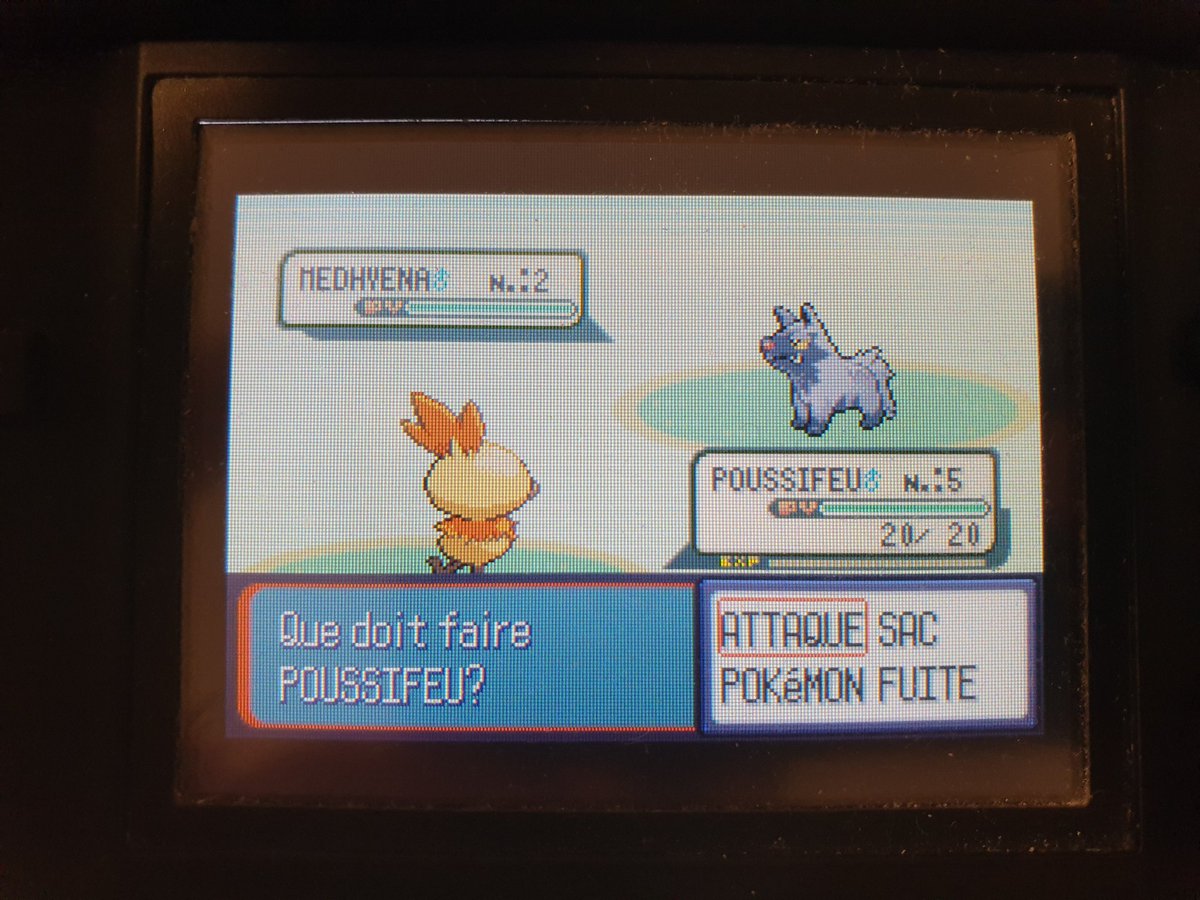 YomySH's tweet photo. Poussifeu shiny trouvé après 7737 SRs sur la Route 101, moins de 24h après Medhyena !!~ https://t.co/qQnMf8zX6G