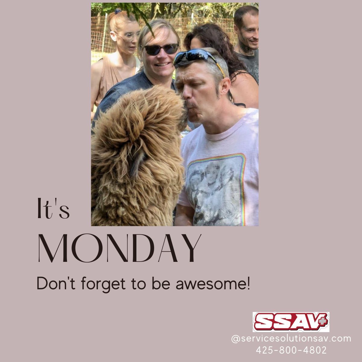 SSAudioVisual's tweet image. Happy Monday from SSAV, where the installs are sharp and the alpaca kisses are unexpected. 🦙💋
Our rockstar install tech Joe decided to kick off the week by smooching an alpaca. Why? Because Mondays need a little magic—and apparently, a little llama drama.