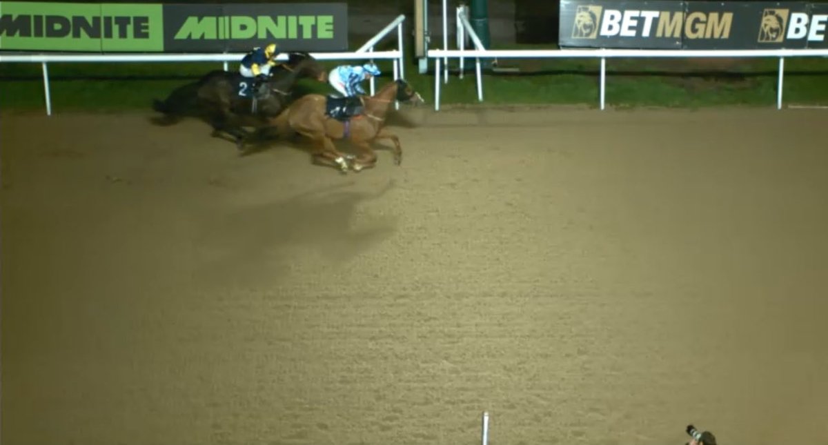 VERAISON WINS FOR MEMBERS 🥇 

Swept through convincingly and does it well.

9/4 into 15/8 so well backed late.