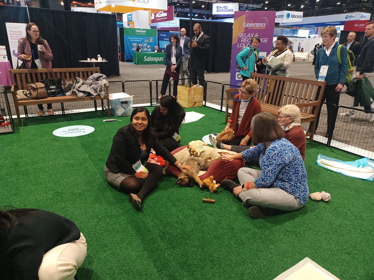 HealioRheum's tweet image. The Relax and Recharge Lounge at the #ACR exhibit hall continues to draw a crowd. 🐕🐶

Have you relaxed with a puppy today?