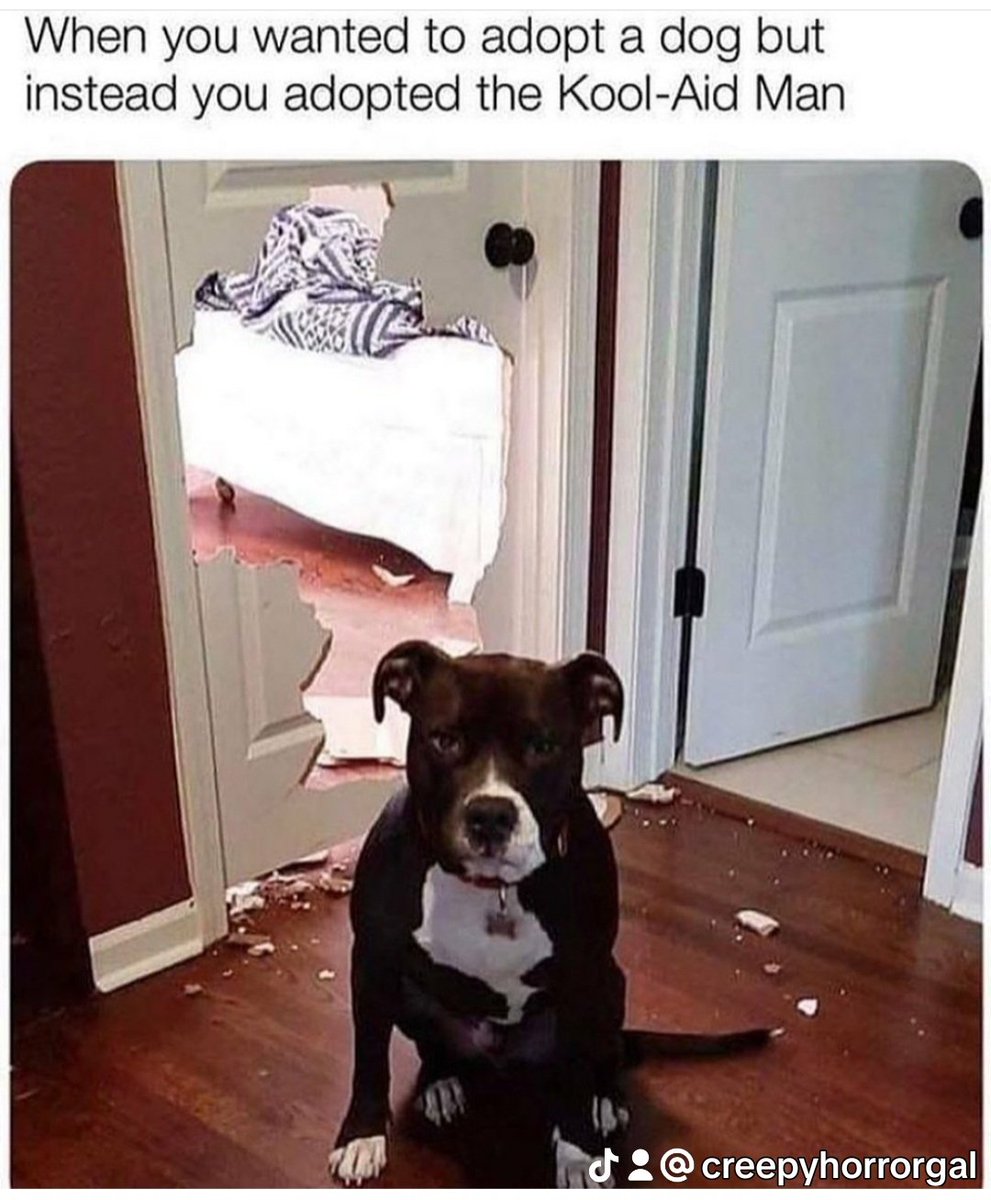 CreepyHorrorGal's tweet image. 👓🇬🇧☠ #creepyvibes #horrorfan #halloween #halloweenishere #gothicgirl ☠️🇬🇧👓