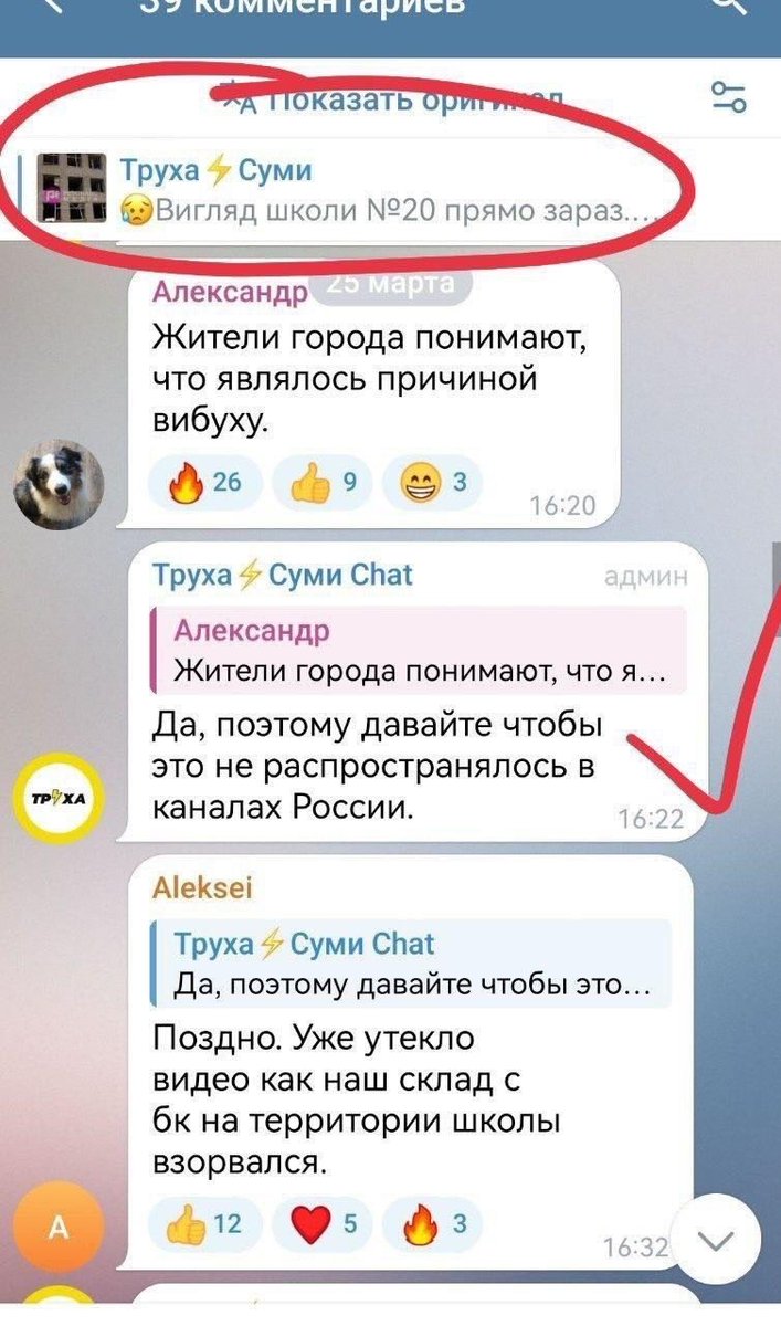 Анатоль (Вождь Тунгусии, Сибири, Трибалтии)💎 tweet media
