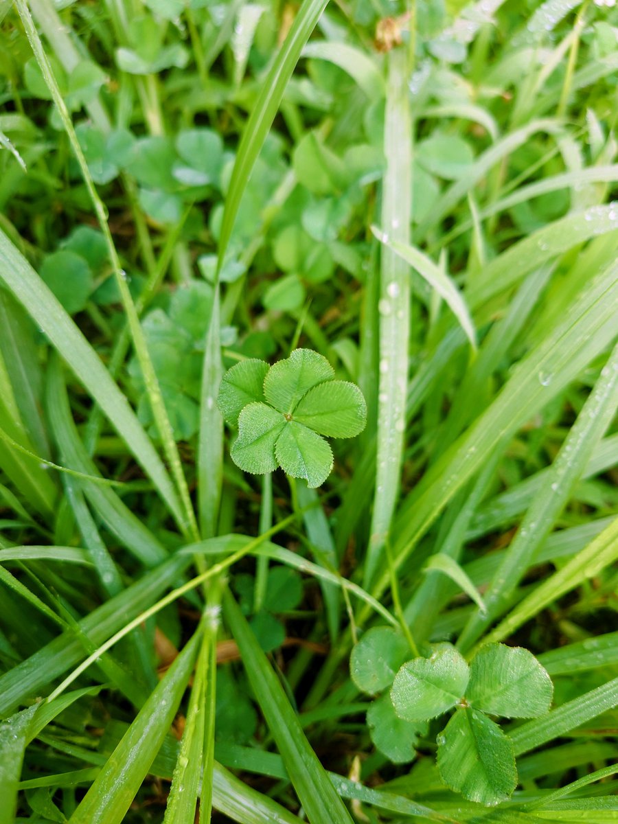 ハル (@haru195) / Posts / X