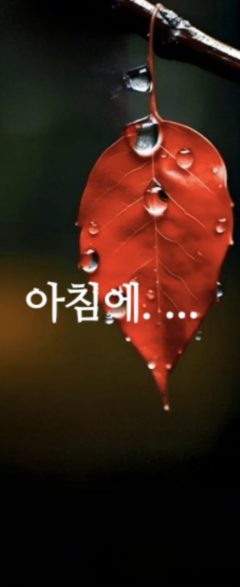 오늘은 쌀살한 날씨  입니다 .

행복은 
말이 없습니다!
행복은 
보이지 않습니다!
행복은 
만질 수도 없습니다!
다만 그대가 
웃으면 행복이고
그대가 기쁘면 
더큰 행복이고
그대가 즐거우면   
아주큰 행복입니다.
그냥 그대만 있으면 
행복해 집니다
그대는 바로 아침에 
회원 여러분!