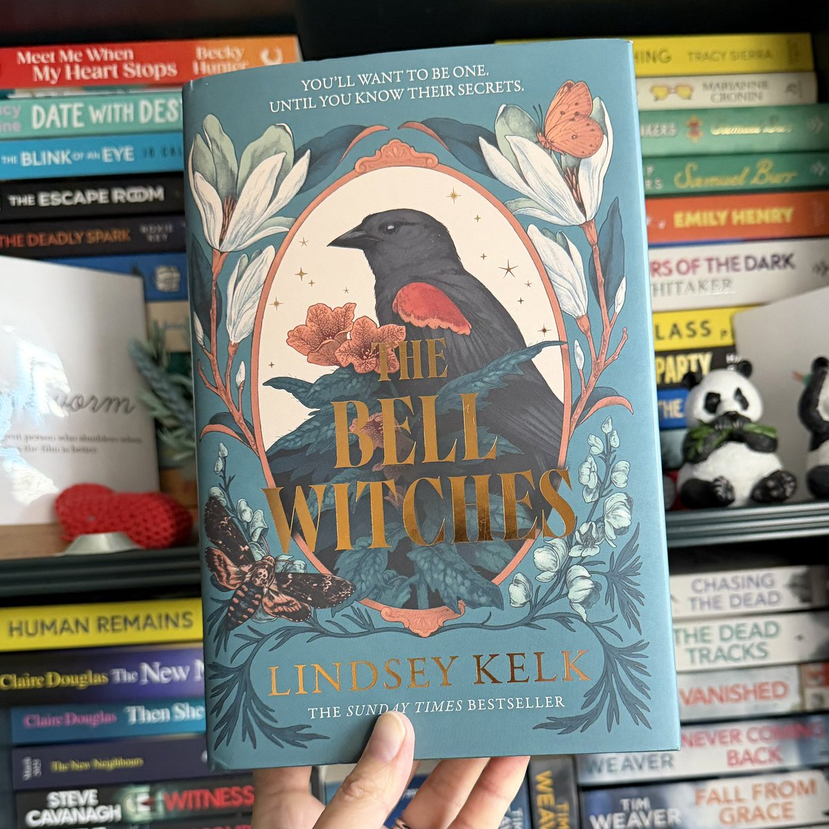 shonaholmes23's tweet image. 📚📮#BookPost📚📮

Did I end up on the Vinted app again? Of course I did and I just couldn’t resist this stunning #LockedLibrary special edition of #TheBellWitches by #LindseyKelk

Those spredges are STUNNING!😍 Keeping my collection of Lindsey’s books complete!❤️

#BookTwitter