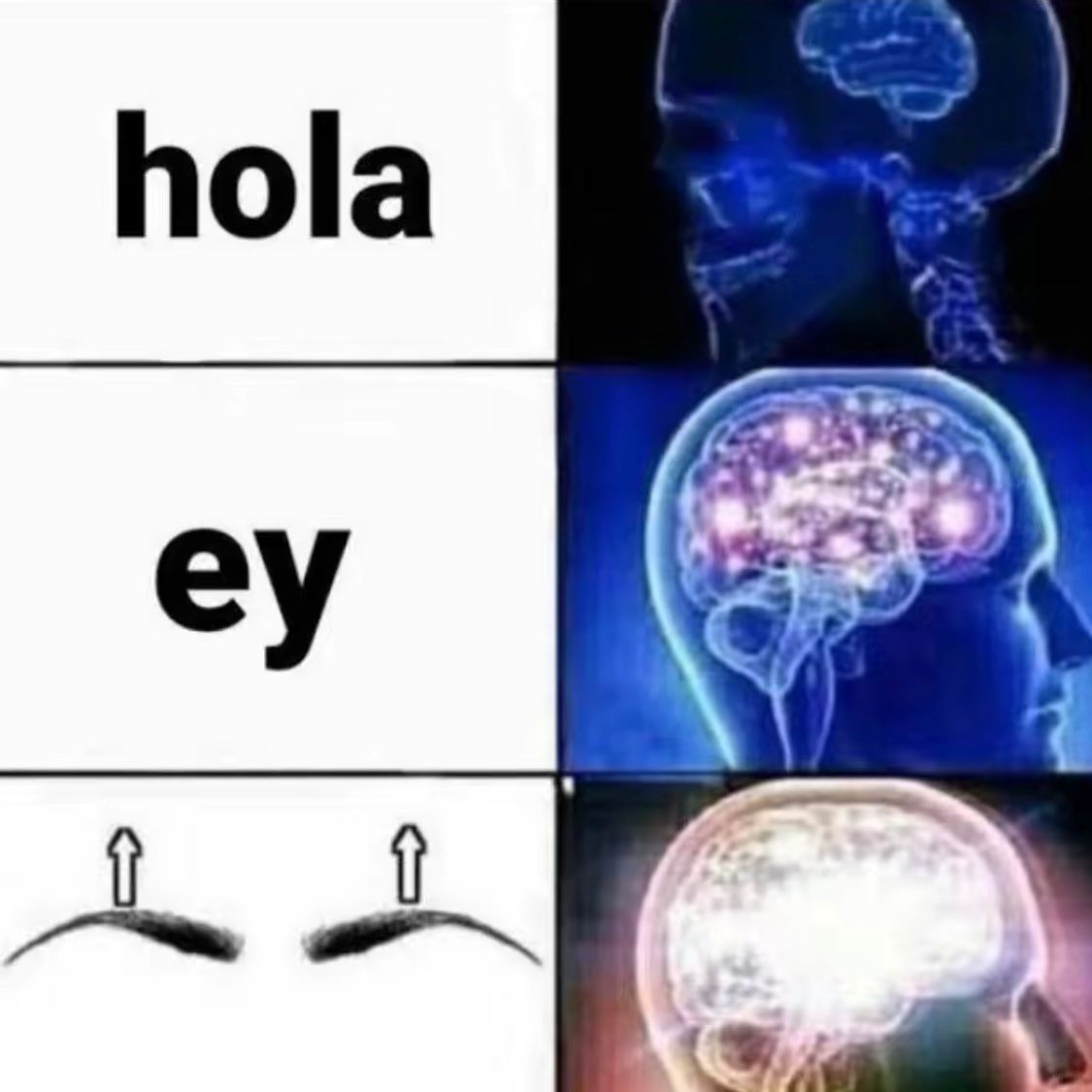 BFrog (@bfrog__) on Twitter photo 