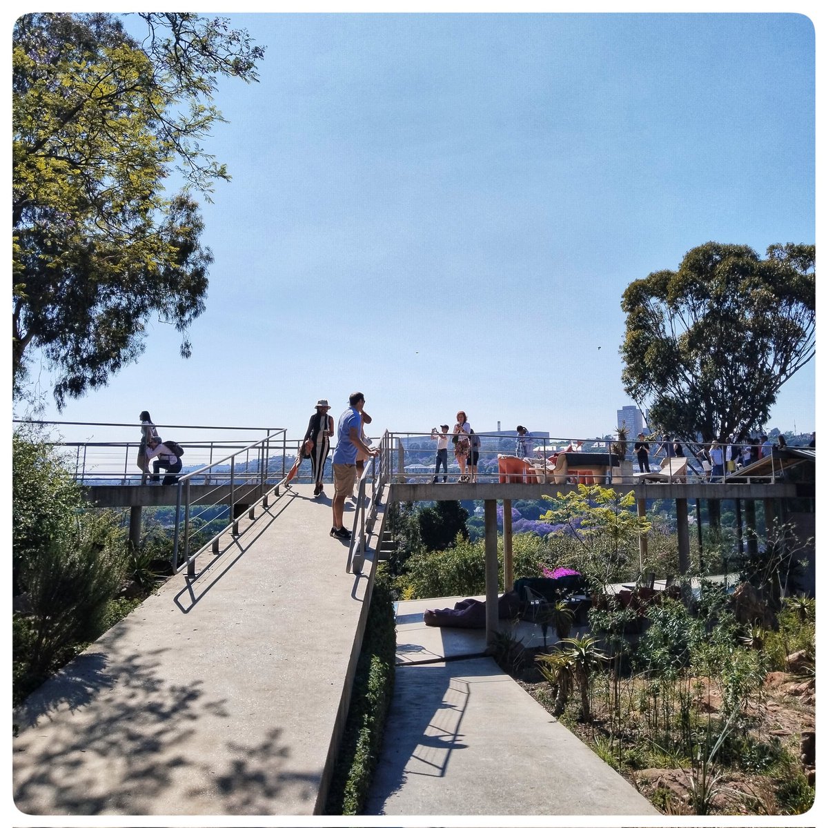MicroAdventure5's tweet image. J A C A R.A N D A  W A L K I N G  &  H E L I  R I D E S🎉
-----------------------------------------
Stunning Saturday morning we had with the wonderful Joburgers on the Jacaranda Walking and Heli flips 🚁 a collab btwn @fsjohannesburg
@bastionaviation & @JohannesburgIYP