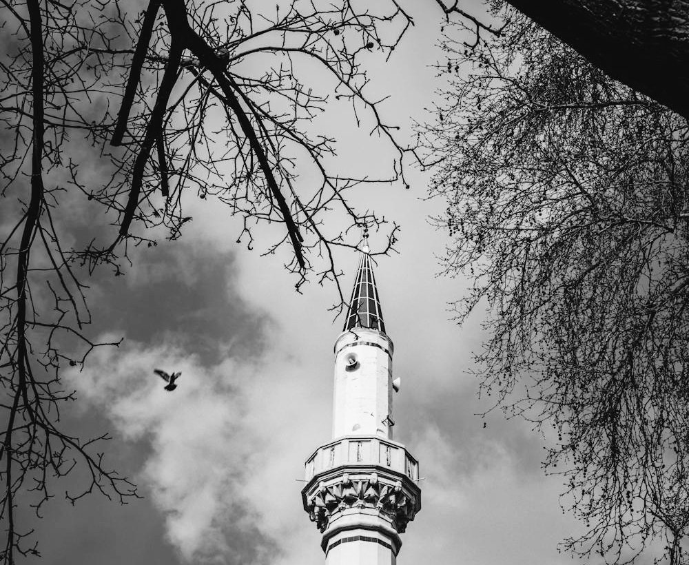 "Allah'ım toprağa sakinlik ver.
Milletimizi afetlerden koru."

#deprem #Sallandık