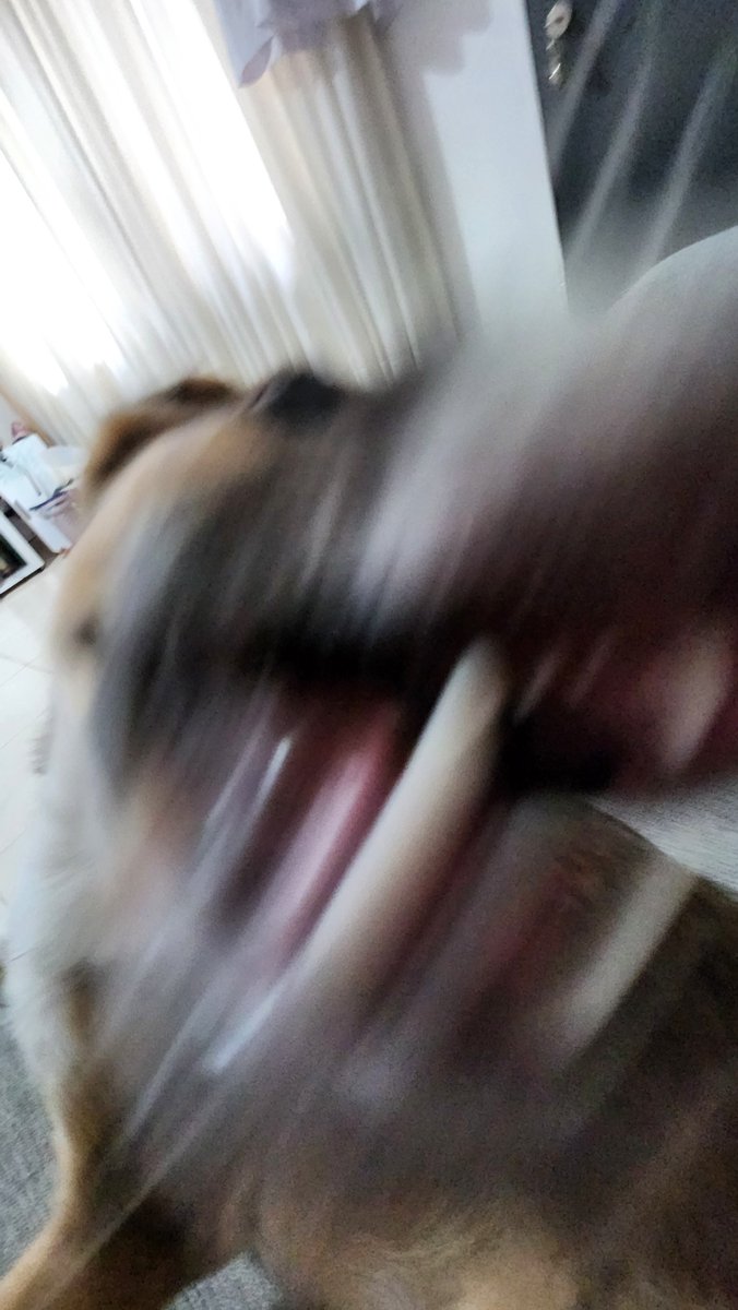 Me atacan!!! 🫣🫣🫣