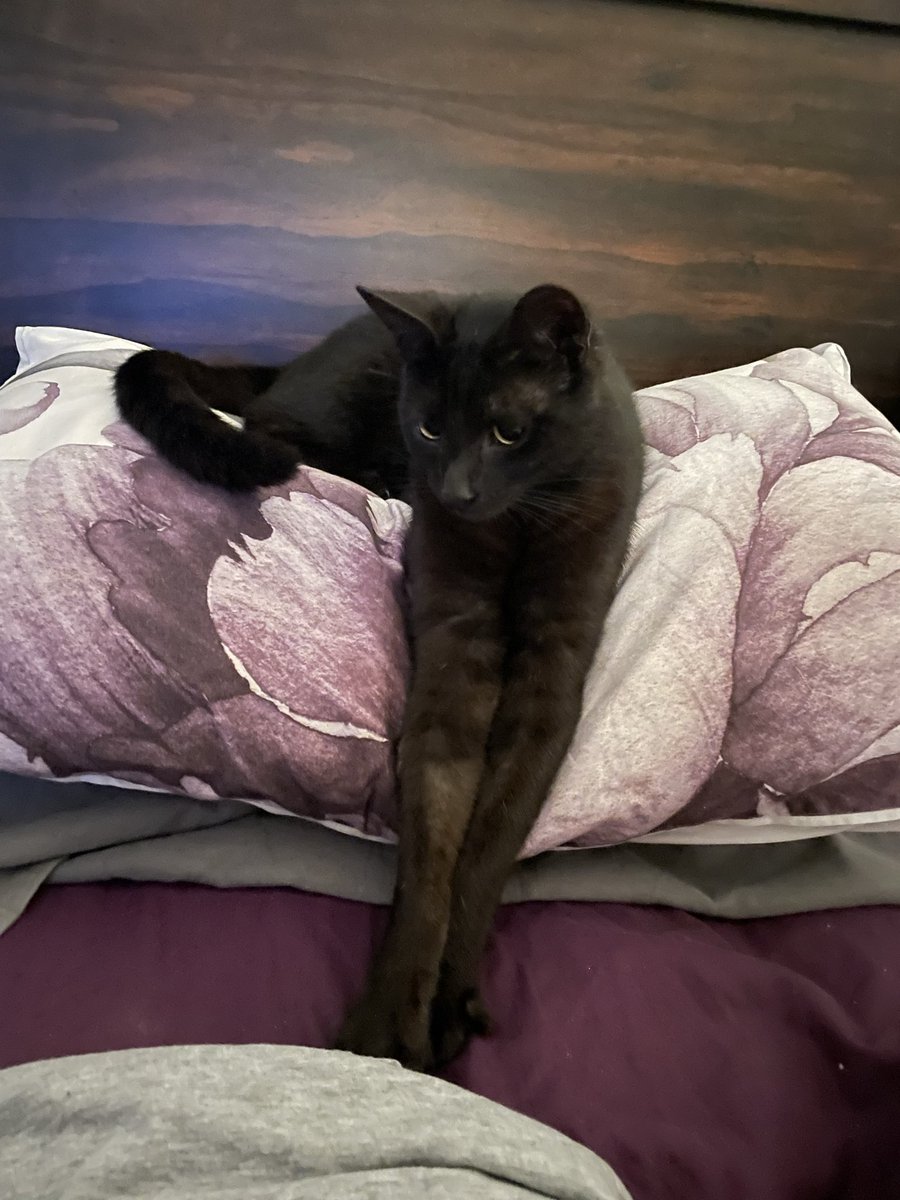 Beck Matters tweet media