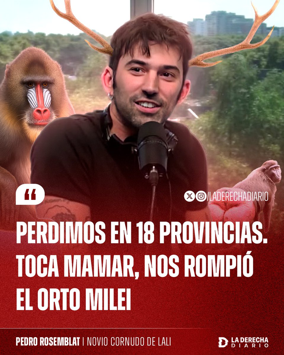 🚨🇦🇷 | Al menos lo admiten: El novio cornudo de Lali, Pedro Rosemblat, reconoció que el kirchnerismo perdió "en 18 provincias. Toca mamar. Nos rompió el orto Milei".