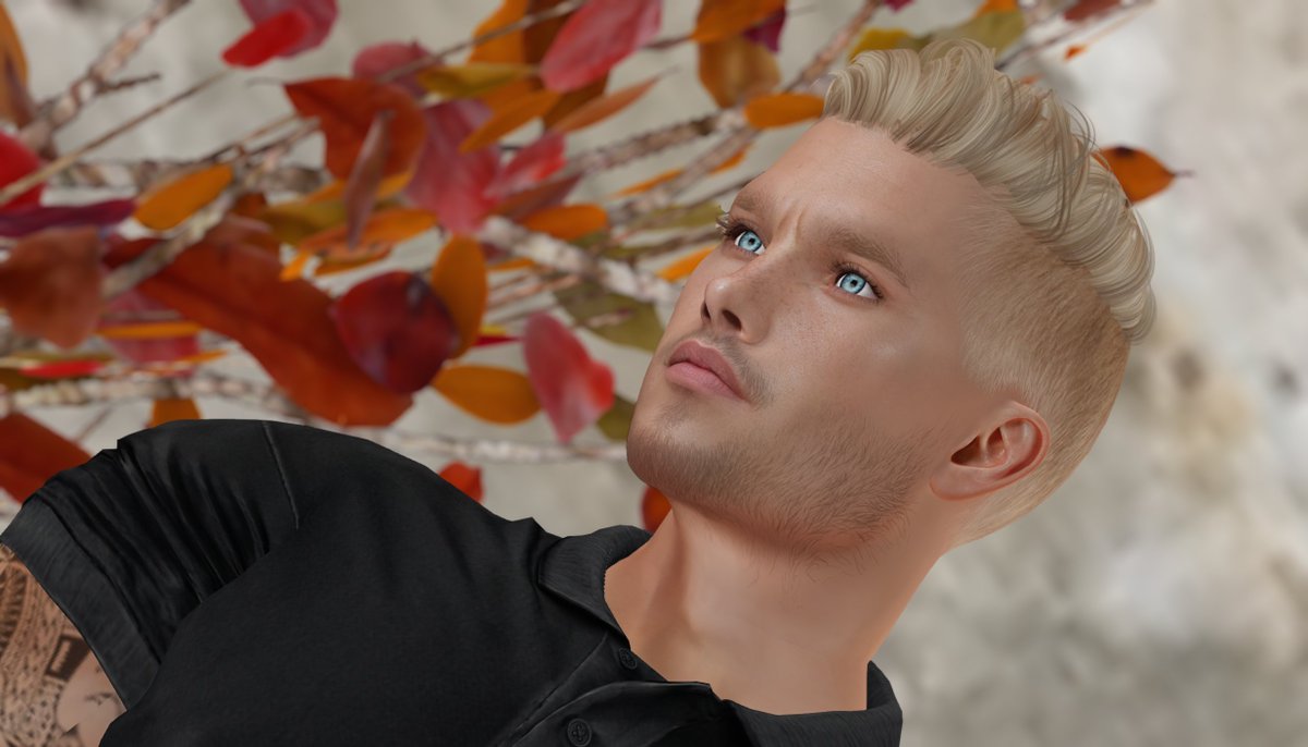 Snight_Nebula's tweet photo. Portrait d'automne

Linktree: https://t.co/2aQgfaYmQm

Primfeed: https://t.co/K6ZLObP95m

#secondlife #secondlifeavi #slavi #secondlifeavatar #secondlifephotos #secondlifephotography #secondlifefrench #virtuel #virtualreality #secondlifemen #secondlifemale #maleavatar https://t.co/QGLtNu4uI8