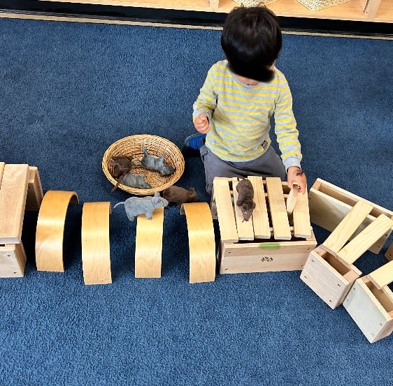Using imagination at StrongStart “to build an apartment building for the mice to build a city for the mice”. Vocabulary enrichment was noticed with words used such as wobble, wider, taller, connect, structure..along with learning to share, wait and take turns. <a href="/sd38ELCC/">Richmond School District Early Learning</a>