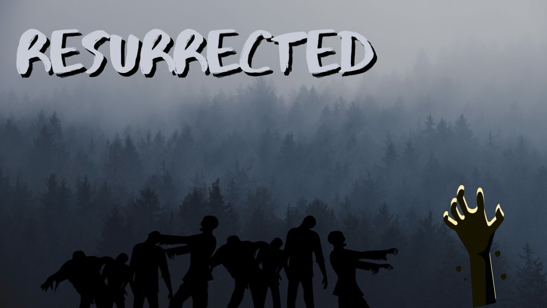 Sid Haig: House of 1000 Corpses, The Devil’s Rejects, and Career Retrospective Panel  
otherworldlyculture.com/sid-haig-house…