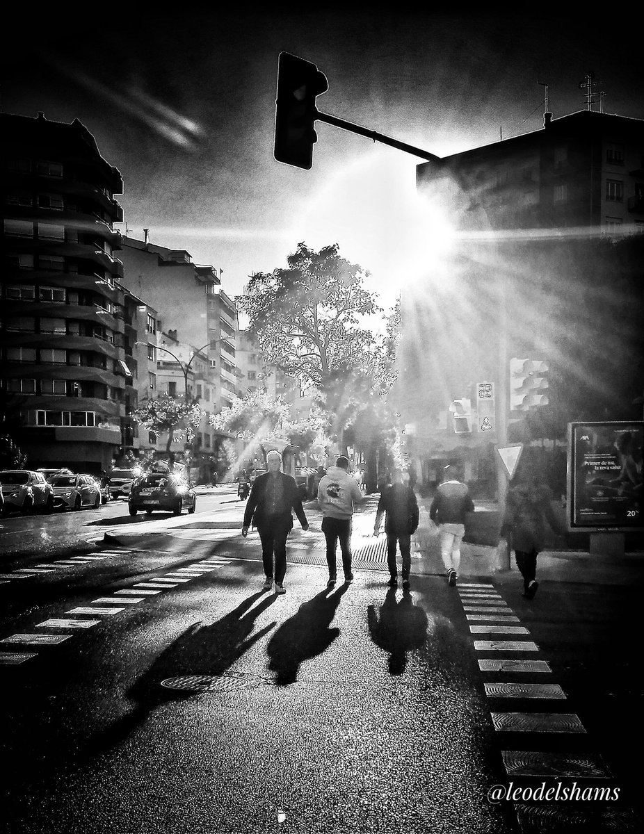 ldelshams's tweet image. Lleida. Avinguda Prat de la Riba. Ombres de tardor. #testimolleida. #comparteixLleida. #lleidatestimo. #carrersdeLleida. #ombres. #shadows. #total_lleida. #imatges_Lleida. #imatgesde_lleida. #Lleida_imatges. #turismedelleida. #blackandwhiteonly. #arquitectura. #architecture.