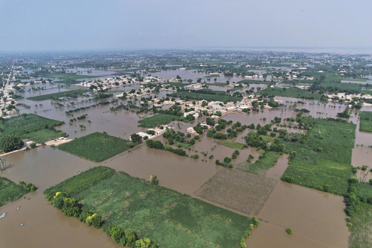 YaleE360's tweet photo. This summer record-breaking cloudbursts fueled widespread flooding in Pakistan, destroying up to half of the seasonal harvest.

Rainfall in the region is growing ever more extreme, scientists say, and climate change is the root cause.

Read more: https://t.co/qjgJZ9JVDO https://t.co/VGcvIgnUaV