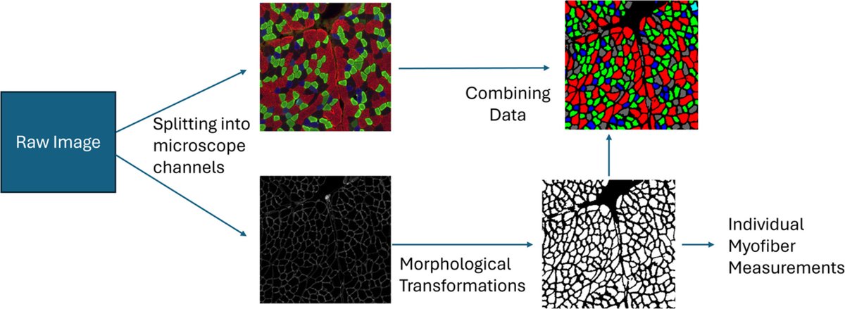 Institute for Drug & Biotherapeutic Innovation tweet media