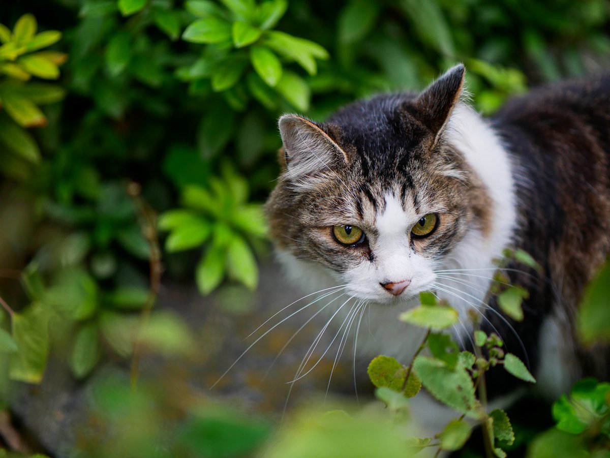 おはよう火曜日