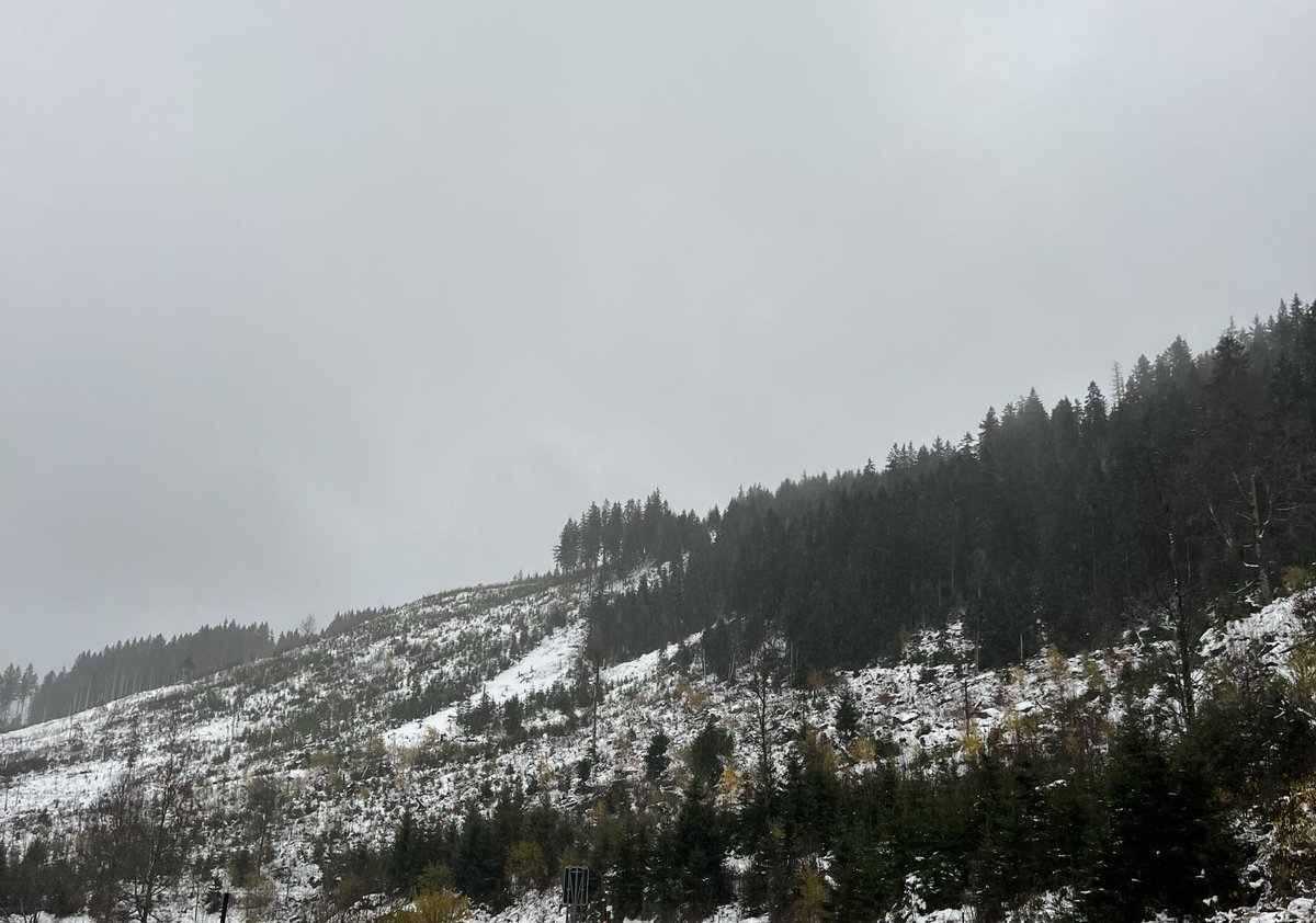 ↟teppet↟↟ tweet media