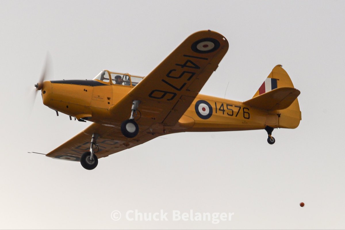 NowHeresYou's tweet image. As god is my witness, I thought Pumpkins could fly! #pumpkin #targetpractice #closestwins #pumpkinchuckin