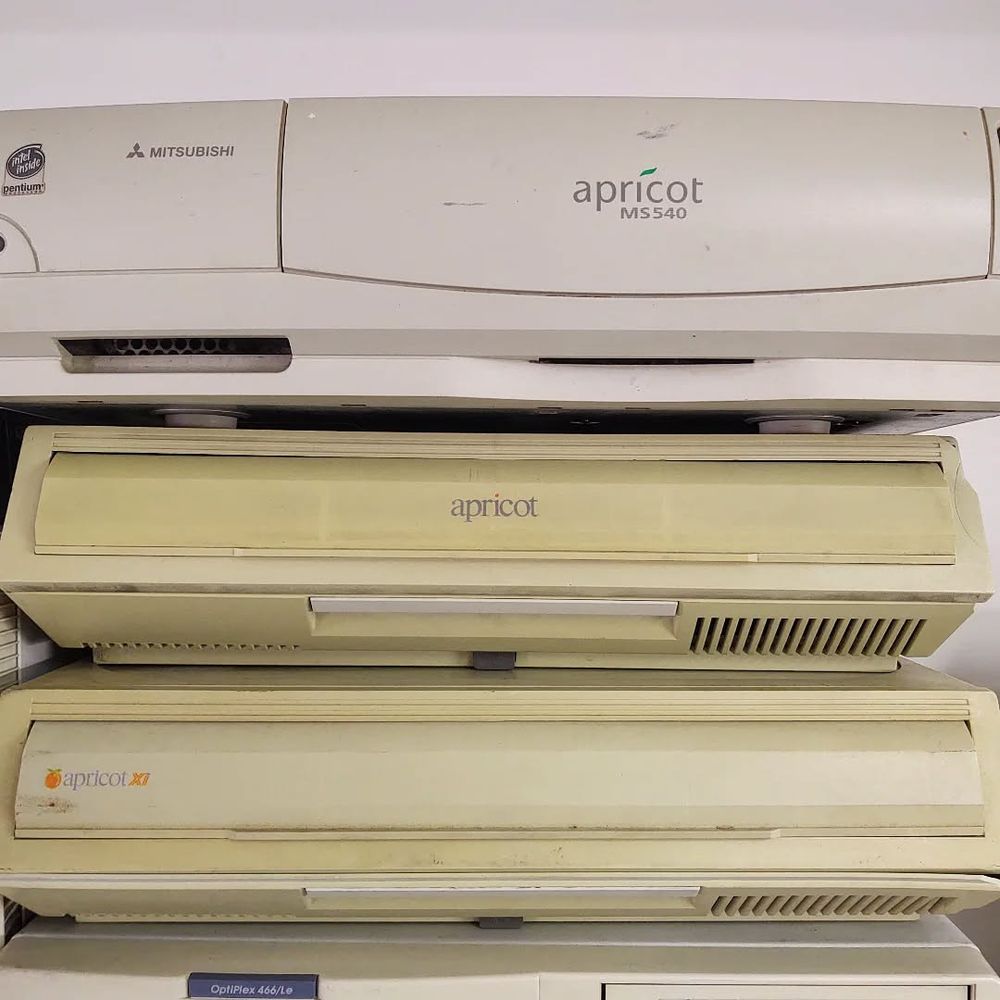 nostalnerd's tweet image. An Apricot is the perfect evening snack.