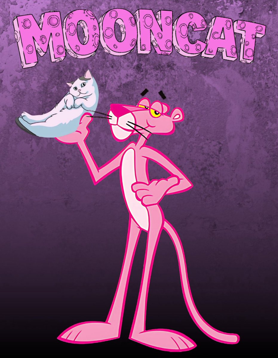 realcatoshi69's tweet image. IP over everything… 🐆🐱