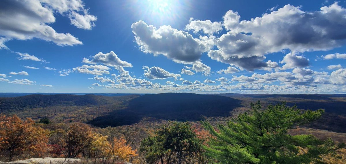 Prathamesh Patel tweet media