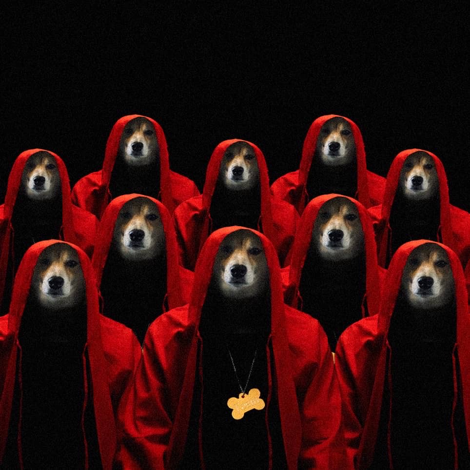 TMY❤️ tweet media