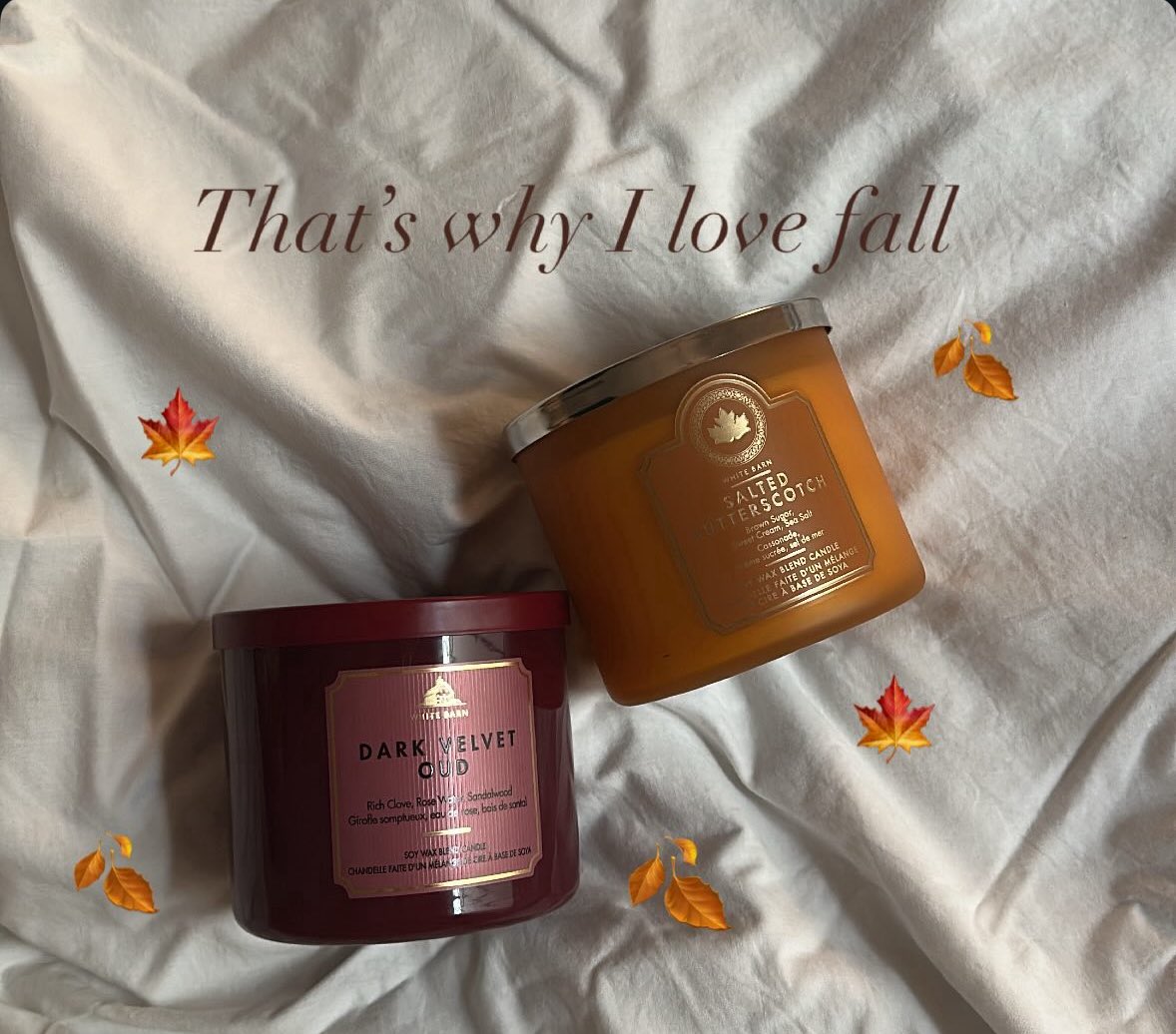 92ro___F's tweet photo. fall vibes 🍁 https://t.co/0GbuLpqrMJ