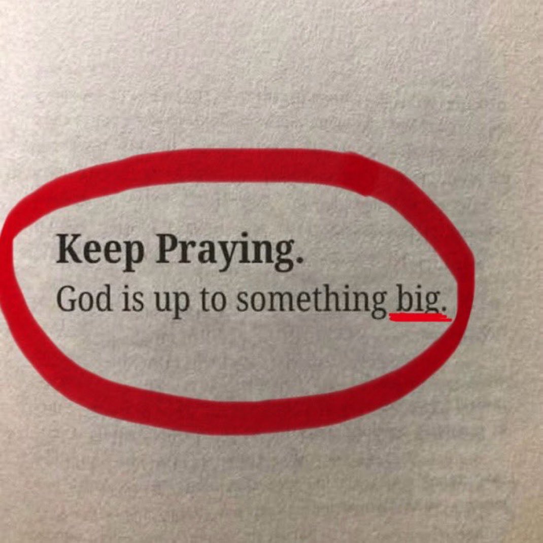 Trust God Brah (@trustgodbrah) on Twitter photo 