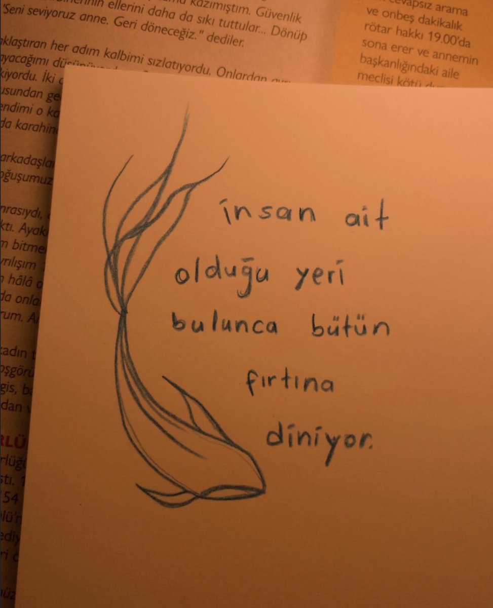 ütopiksel (@utopivento) on Twitter photo 