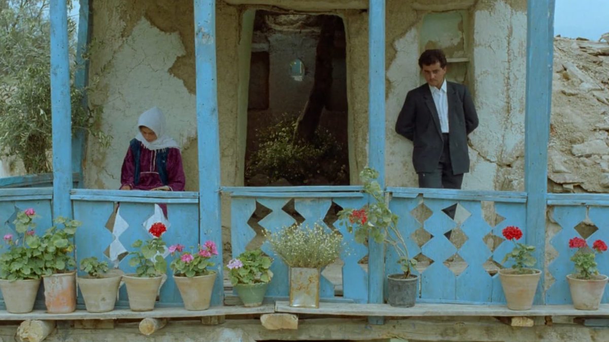 through the olive trees (زیر درختان زیتون ), 1994 / abbas kiarostami