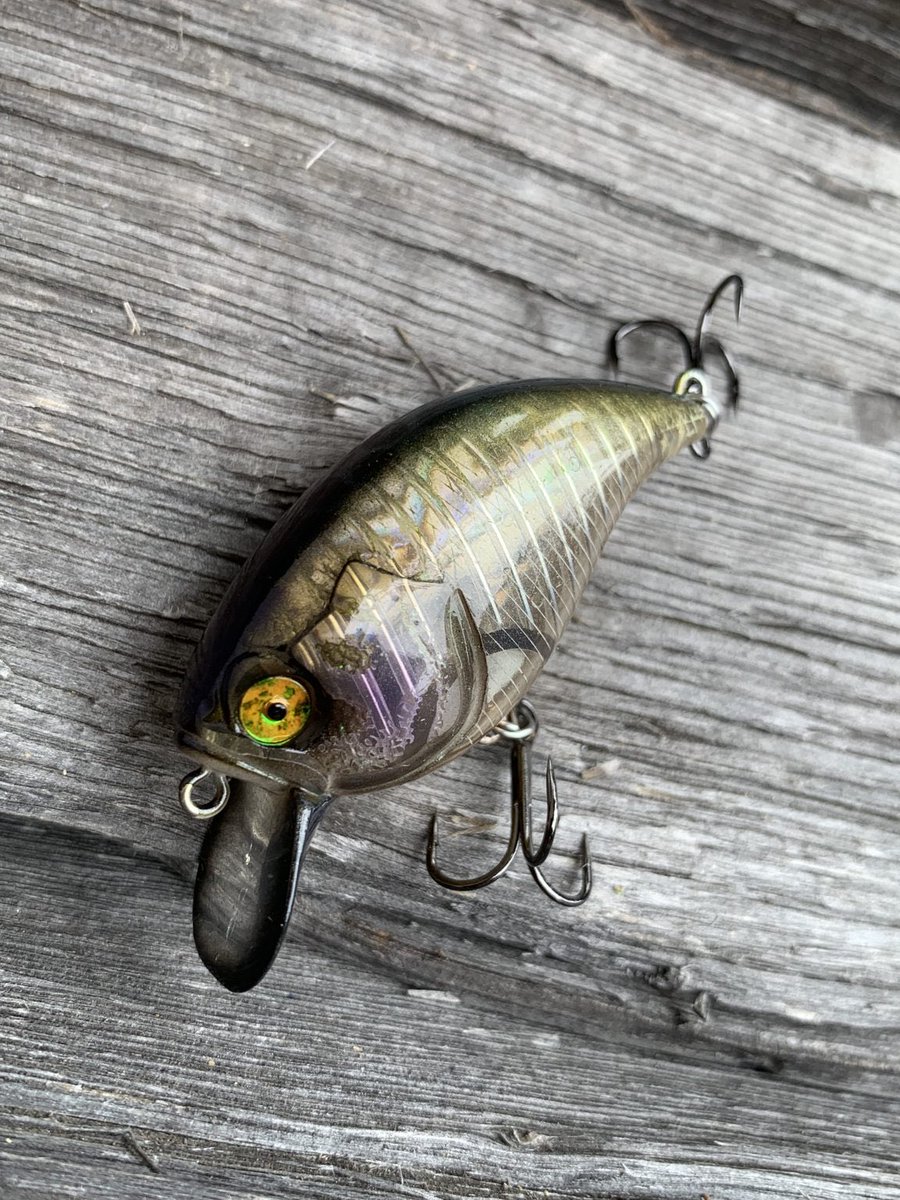 Tomato Lures (@JTL7124) / Posts / X