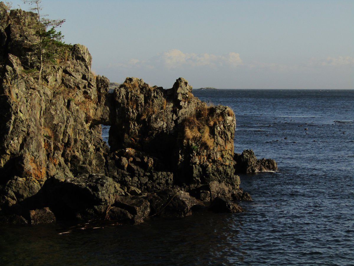 routinecolours's tweet image. 